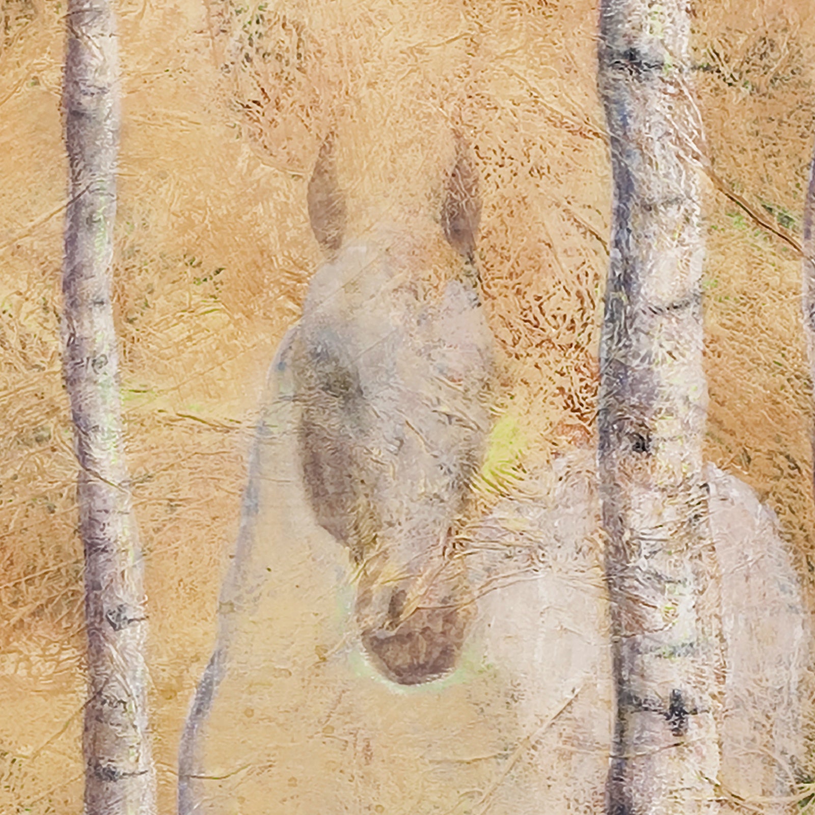 Spirit in the Aspens