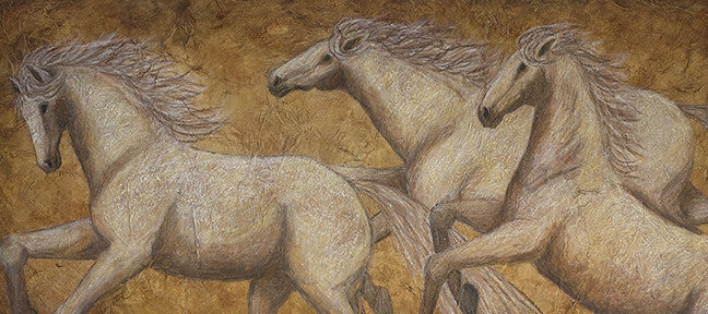 White horses, stallions, spirit horse