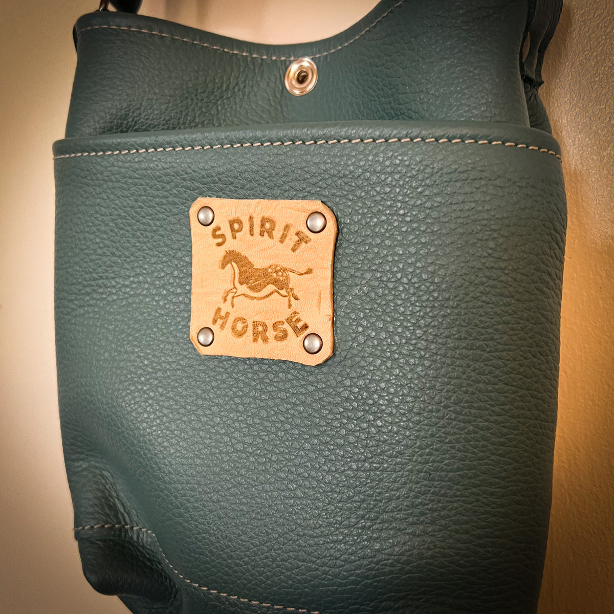 Lynnie Bag in Blue with Cave Ponies